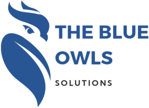 The Blue Owls Solutions